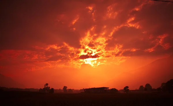 Sunset fields — Stock Photo, Image