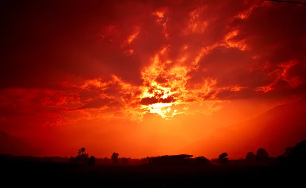Sunset fields — Stock Photo, Image