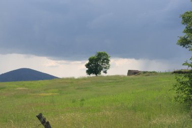 Toskana doğa manzara