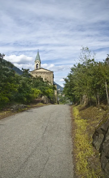 교회 및 포도 — 스톡 사진