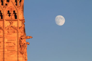 Milano duomo