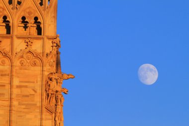 Milano duomo