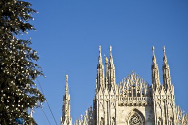 Milano duomo