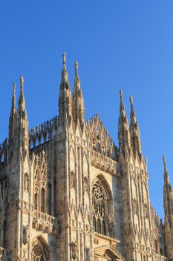 Milano duomo