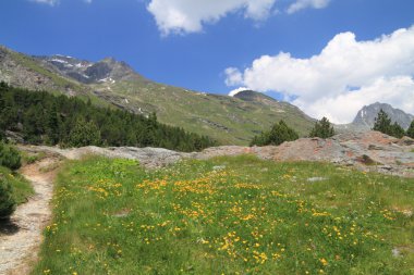 Engadina - İsviçre