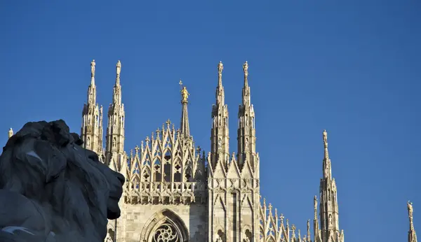 Milano duomo — Stok fotoğraf