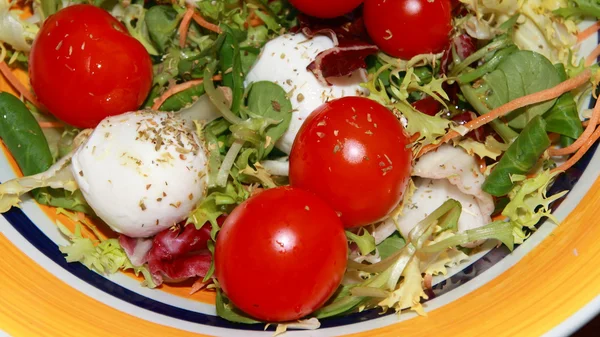 Gemischter Salat — Stockfoto