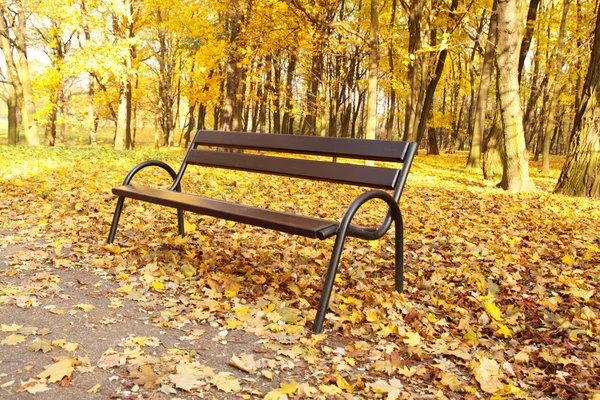 stock image Bench in the park. Autumn leaves