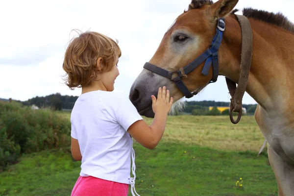 Young girl stroking horse — Stock Photo, Image