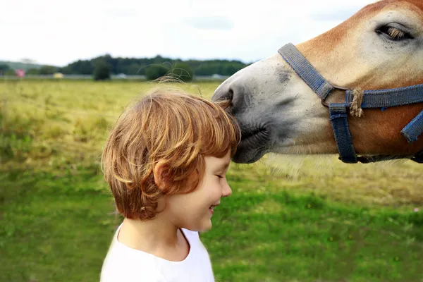 Девочка и лошадь Лицензионные Стоковые Изображения