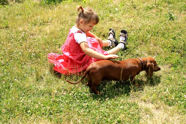 Chica jugando con perro Imagen de stock