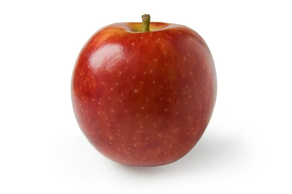 Shiny apple on the white background — Stock Photo, Image