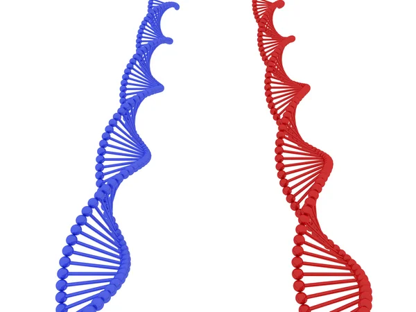 ДНК 3d — стокове фото