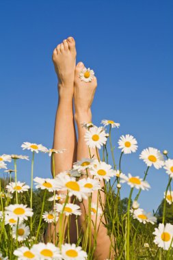 Woman legs with spring or summer flowers