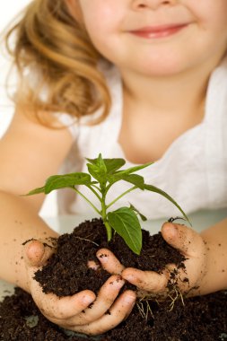 Little girl holding a young plant in soil - closeup clipart