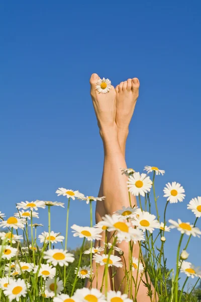 Pernas ensolaradas felizes com flores — Fotografia de Stock