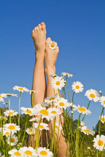 Женские ноги с весенними или летними цветами — стоковое фото