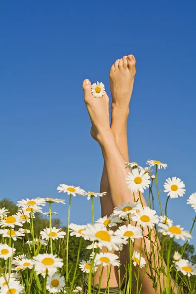 Wiosna nogi — Zdjęcie stockowe