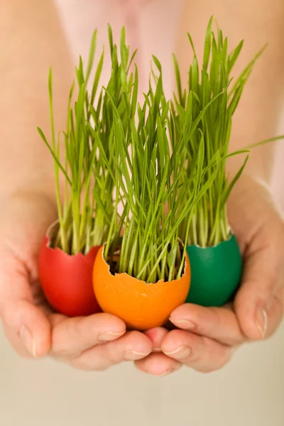 Nuevo concepto de vida con huevos de Pascua y hierba —  Fotos de Stock