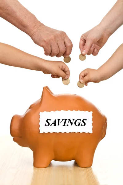 Financiële educatie en money saving concept — Stockfoto