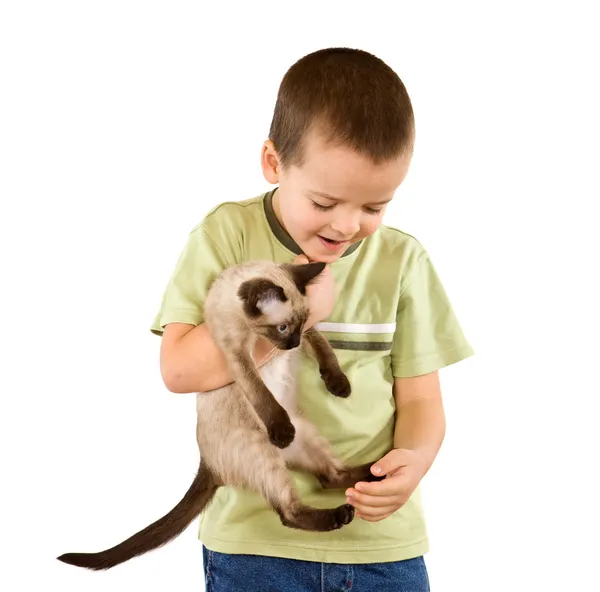 Pequeño niño cargando su gato — Foto de Stock