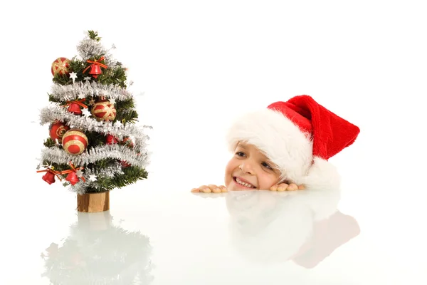 Happy boy with little christmas tree — Stock Photo, Image