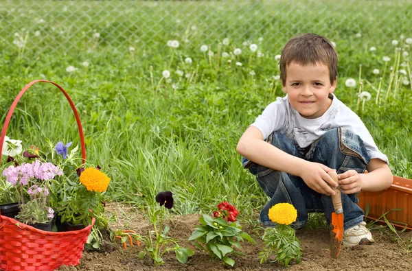 Young boy planting flowers — Stock Photo, Image