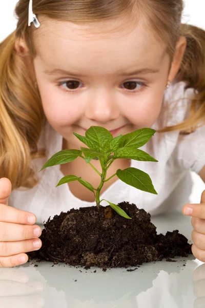Boldog kis lány fiatal növények megfigyelése — Stock Fotó