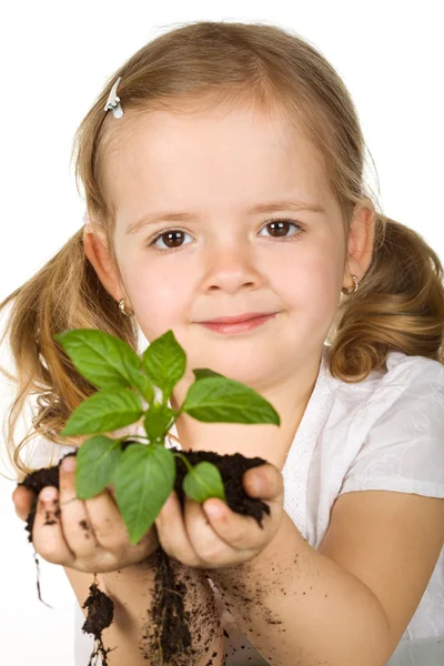 Μικρό κορίτσι εκμετάλλευση νεαρό φυτό — Φωτογραφία Αρχείου