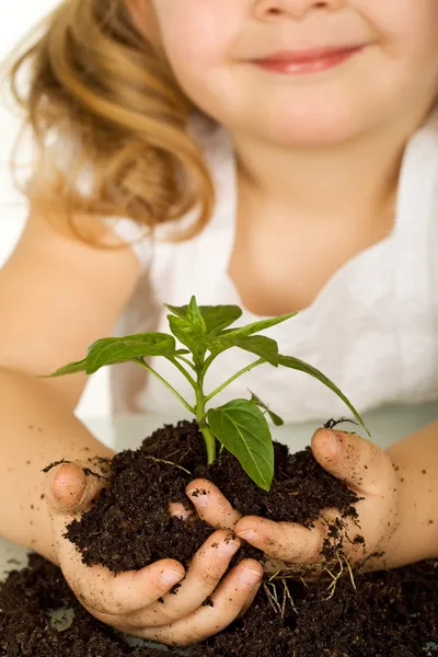 Little girl holding a young plant in soil - closeup — Stock Photo, Image