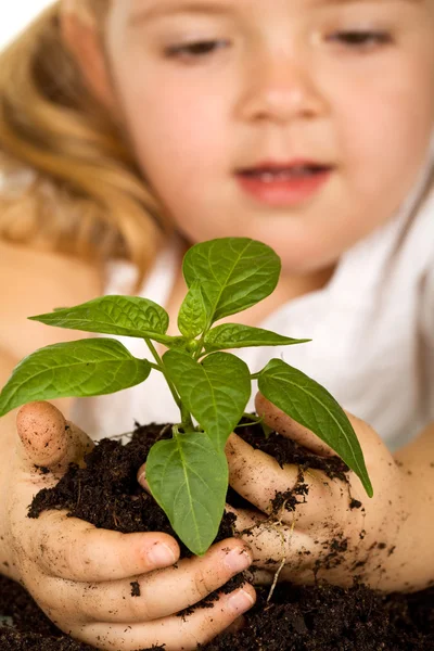 Kislány nézi őt növény — Stock Fotó