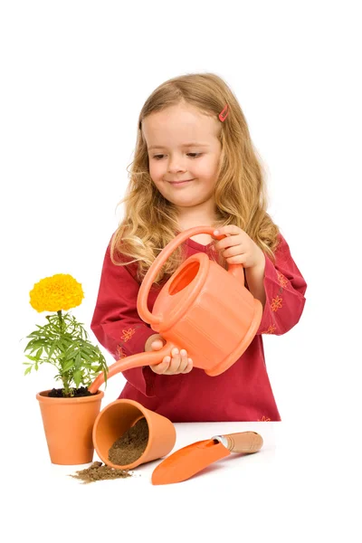 Petite fille arrosant fleur en pot — Photo