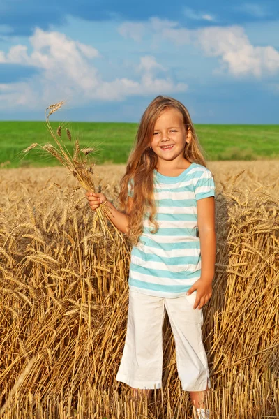 Buğday alanında uzun altın saçlı kız — Stok fotoğraf