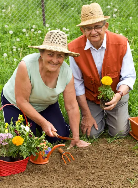 Feliz jardinería sana de las personas mayores — Foto de Stock