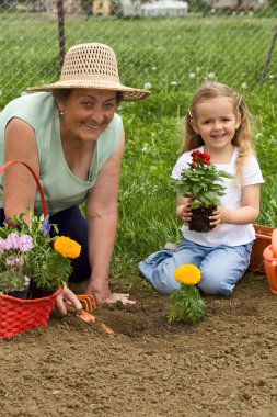 Grandmother teaching little girl gardening clipart