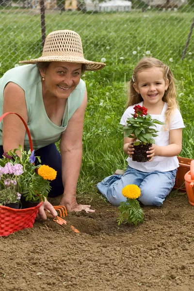 Nonna insegnamento bambina giardinaggio — Foto Stock