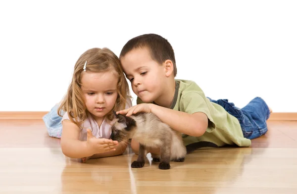 Niños con su gatito en el suelo — Foto de Stock