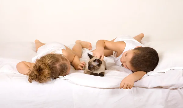 Crianças deitadas na cama brincando com um gato — Fotografia de Stock