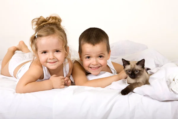 Niños jugando con su gatito en la cama —  Fotos de Stock