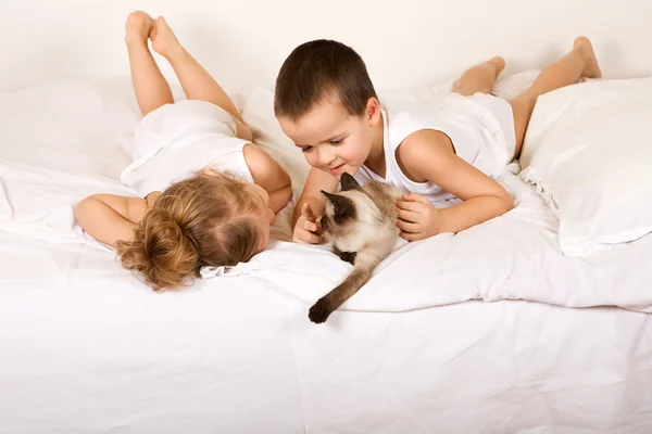 Niños divirtiéndose con un gatito — Foto de Stock