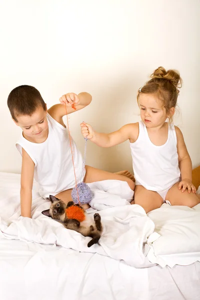 Onların yavru kedi yatağı ile oynayan çocuklar — Stok fotoğraf