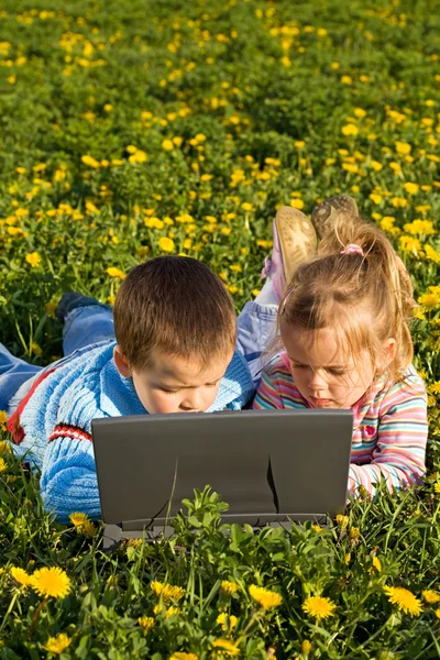 Дети используют ноутбук на весеннем цветочном поле — стоковое фото