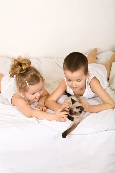 Τα παιδιά, βάζοντας στο κρεβάτι το παιχνίδι με το γατάκι τους — Φωτογραφία Αρχείου
