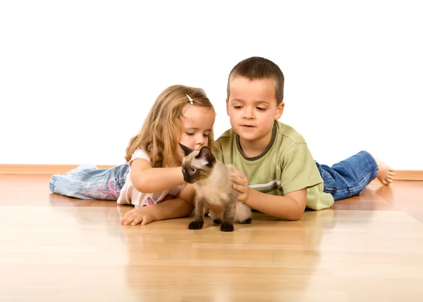 Barn som leker med sina nya kattunge — Stockfoto