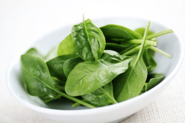 Baby spinach clipart