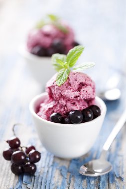 Blackcurrant dessert clipart