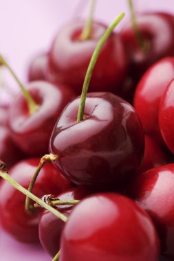 Cherries clipart