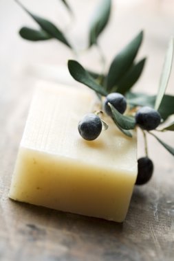 Rosemary and olive soap