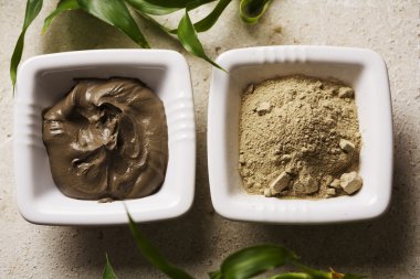 Algae and natural mud for body masks clipart