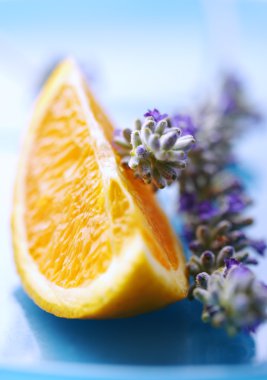 Closeup of orange and lavender, very shallow focus clipart